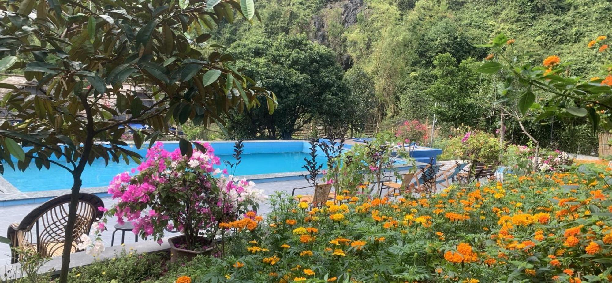 Cat Ba Island Garden Homestay - Papillon Dış mekan fotoğraf