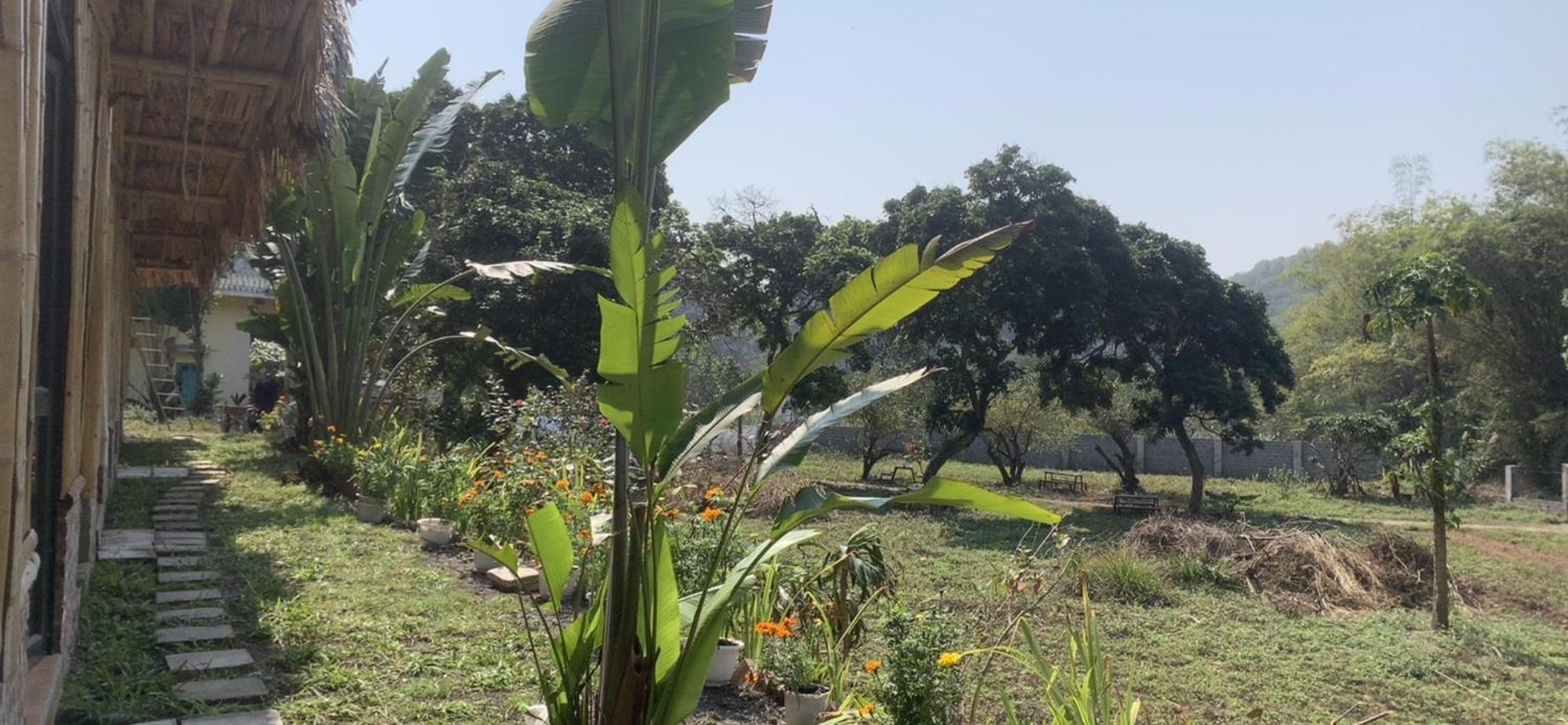 Cat Ba Island Garden Homestay - Papillon Dış mekan fotoğraf