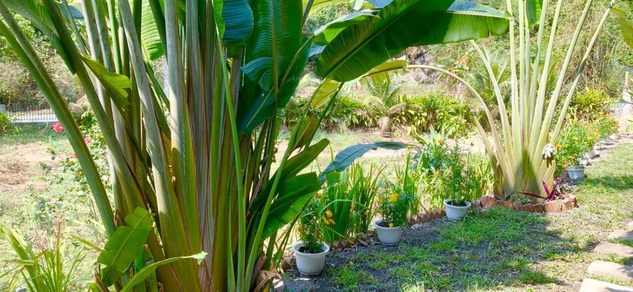Cat Ba Island Garden Homestay - Papillon Dış mekan fotoğraf