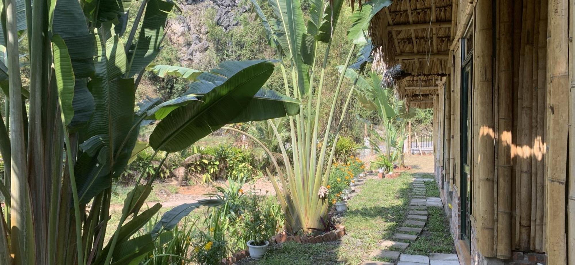 Cat Ba Island Garden Homestay - Papillon Dış mekan fotoğraf