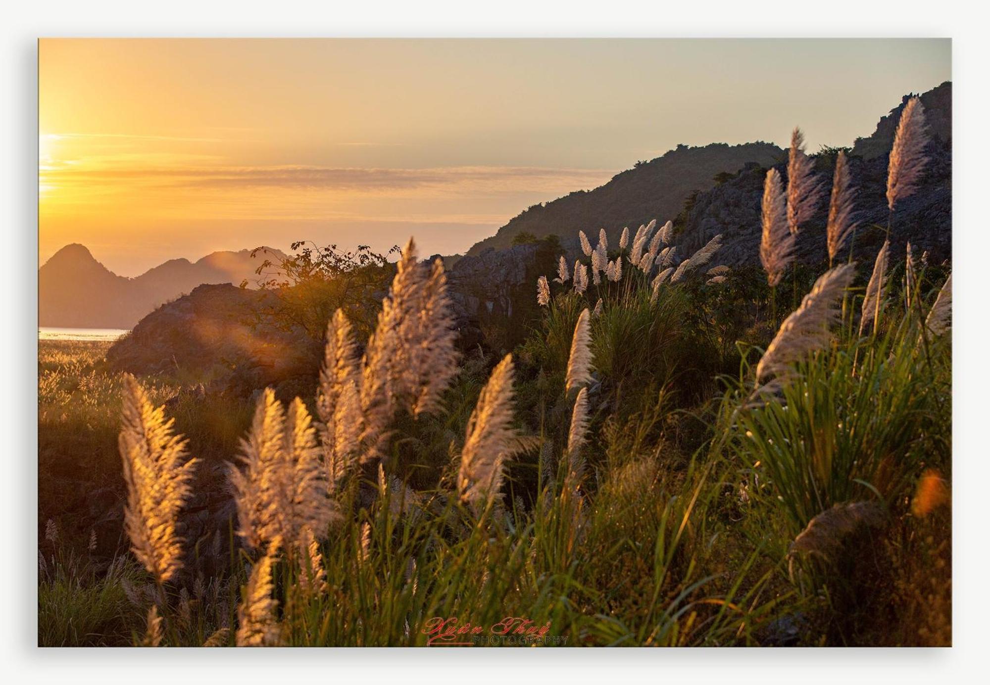 Cat Ba Island Garden Homestay - Papillon Dış mekan fotoğraf
