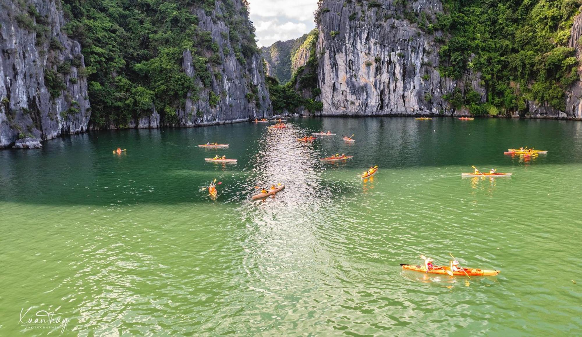 Cat Ba Island Garden Homestay - Papillon Dış mekan fotoğraf