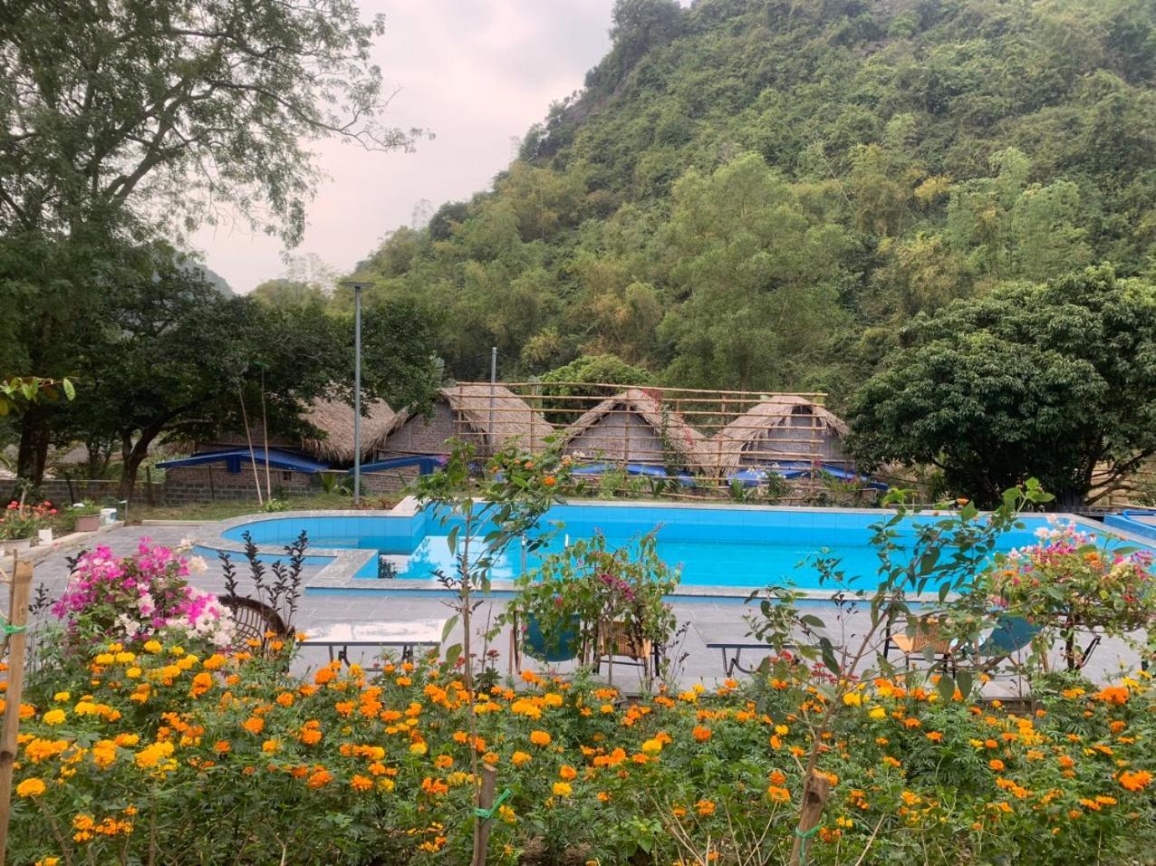 Cat Ba Island Garden Homestay - Papillon Dış mekan fotoğraf