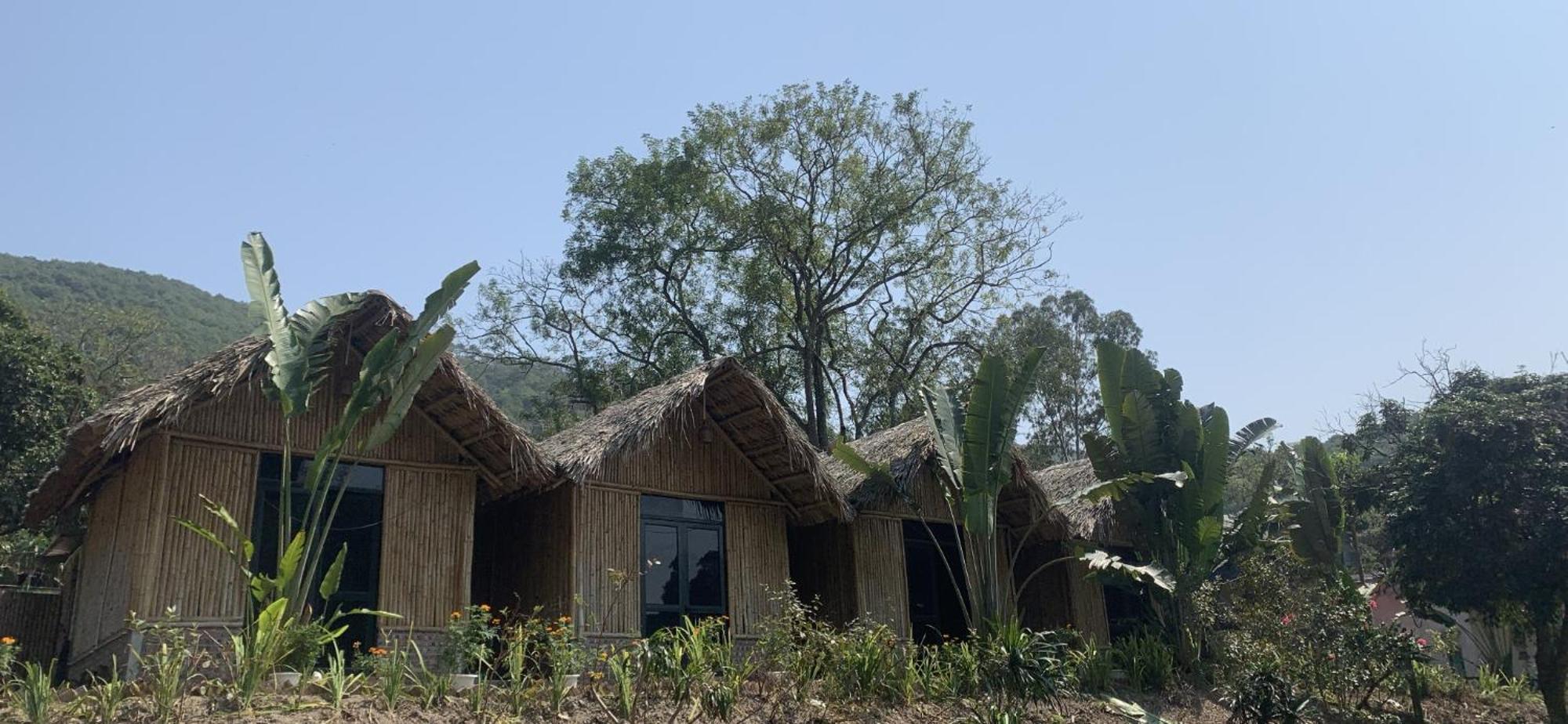Cat Ba Island Garden Homestay - Papillon Dış mekan fotoğraf